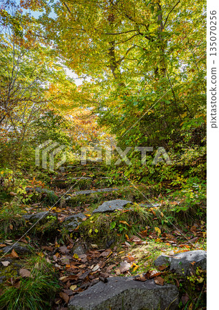 Autumn foliage scenery at Onuma Quasi-National Park, Hokkaido Autumn foliage scenery at Onuma Quasi-National Park, Hokkaido 135070256