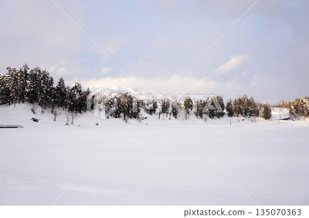 Snowy scenery and cedar trees, Uonuma City, Niigata Prefecture Snowy scenery and cedar trees, Uonuma City, Niigata Prefecture 135070363