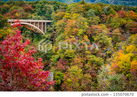 Miyagi Prefecture, Naruko Gorge on a cloudy day, autumn leaves and valley scenery 135070670