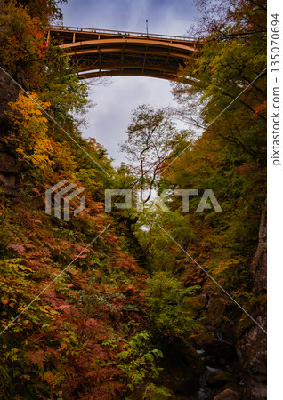 陰天宮城縣的鳴子峽,秋葉與山谷景色交相輝映。 陰天宮城縣的鳴子峽,秋葉與山谷景色交相輝映。 135070694