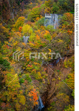 福島縣:萬代東天際線的秋葉和晴朗的好天氣 福島縣:萬代東天際線的秋葉和晴朗的好天氣 135070976