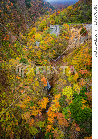 Fukushima Prefecture: Autumn foliage and a beautiful sunny day at Bandai-Azuma Skyline 135070980