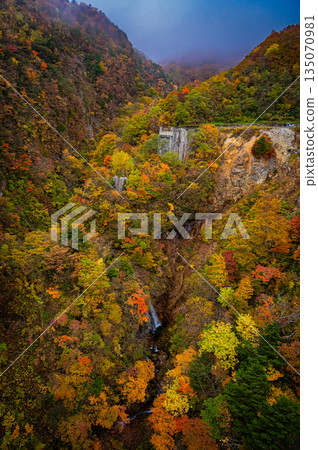 福島縣：萬代東天際線的秋葉和晴朗的好天氣 135070981