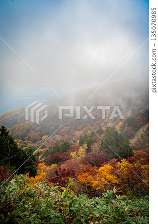 福島縣:萬代東天際線的秋葉和晴朗的好天氣 福島縣:萬代東天際線的秋葉和晴朗的好天氣 135070985
