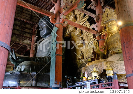 Great Buddha and Nyoirin Kannon statue at Todaiji Temple, Nara Prefecture 135071145
