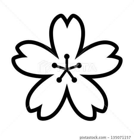 Cherry blossom icon_vector illustration Cherry blossom icon_vector illustration 135071157