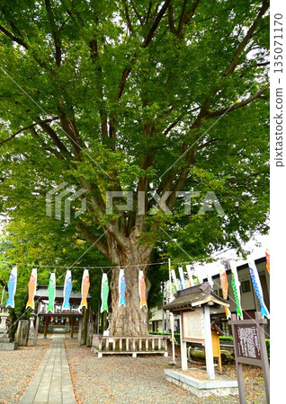 盛岡的住吉神社 盛岡的住吉神社 135071170