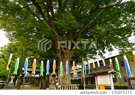 Sumiyoshi Shrine in Morioka Sumiyoshi Shrine in Morioka 135071171