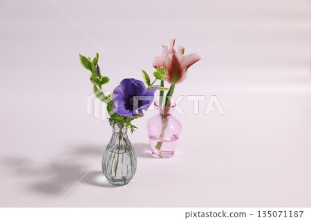 Variegated tulips and anemones Variegated tulips and anemones 135071187