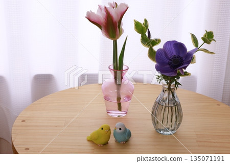 花葉鬱金香與銀蓮花 135071191