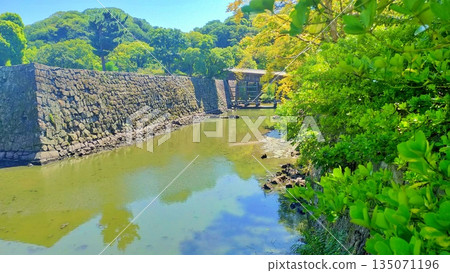 夏日的藍天和和歌山城的石牆和護城河 135071196