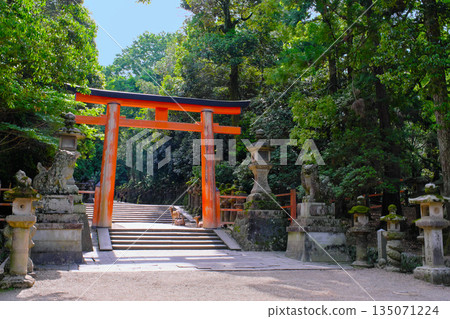 Second torii gate and deer at Kasuga Taisha Shrine, Nara Prefecture 135071224
