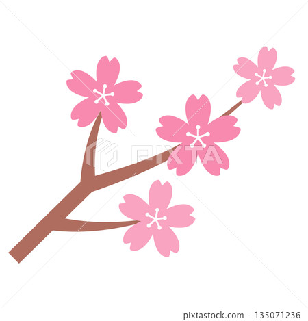 Cherry blossom branch icon_vector illustration 135071236