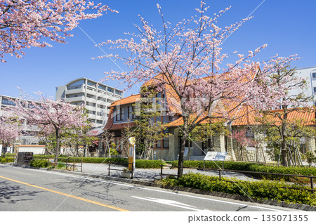 名古屋，東區，都市風景，都市風景保護地區文化Mochi Nihakan Kawakami Ayuman House和Okan Sakura 135071355