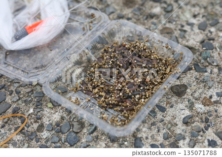 Fishing bait Fishing bait 135071788
