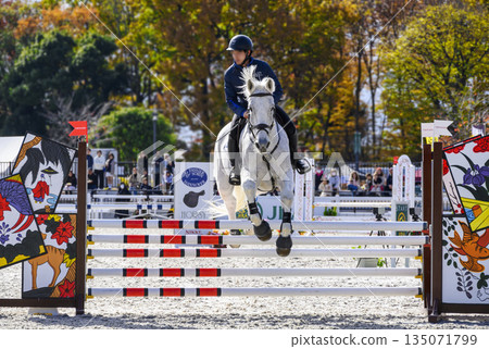 日本東京世田谷區馬術公園舉辦的馬術障礙賽馬錶演賽 日本東京世田谷區馬術公園舉辦的馬術障礙賽馬錶演賽 135071799