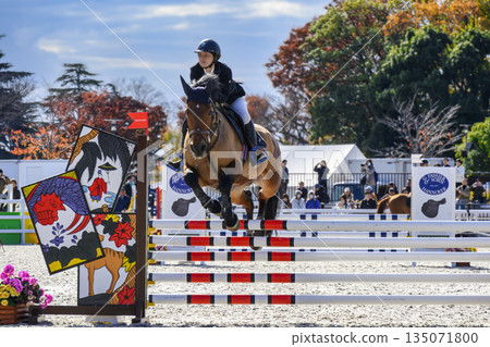 Setagaya Ward, Tokyo, Japan Breeding Show Jumping Horse Show at Equestrian Park 135071800