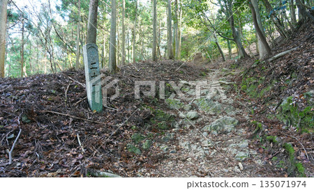 Mt. Asakuma mountain trail 135071974