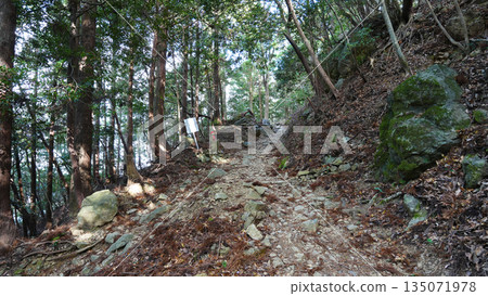 Mt. Asakuma mountain trail Mt. Asakuma mountain trail 135071978