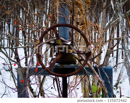 A rusty lock handle and red berries stand in the silence of winter A rusty lock handle and red berries stand in the silence of winter 135072482