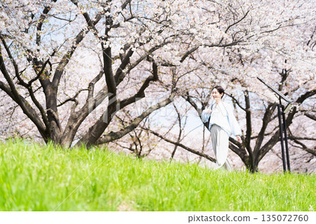 一位年輕女子沿著一排櫻花樹漫步。生活方式圖片 135072760