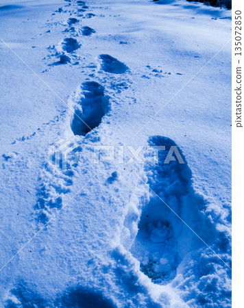 寂靜的雪地上刻著清晰的腳印──一排腳印通往雪地。 135072850