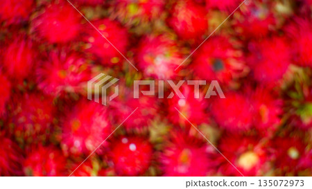 Abstract Blurred Red Rambutan Fruit Background 135072973