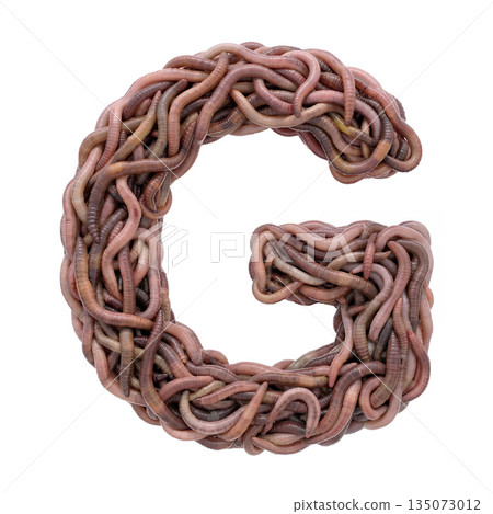 earthworm letter G - Capital 3d earthworm font - suitable for gardening, compost or horror concept related subjects 135073012