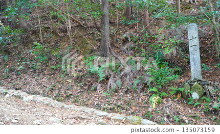 Mt. Asakuma mountain trail Mt. Asakuma mountain trail 135073159