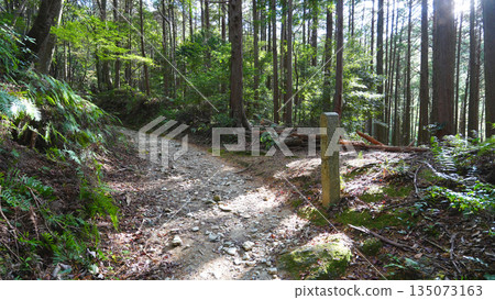 Mt. Asakuma mountain trail Mt. Asakuma mountain trail 135073163