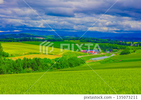 廣闊的鄉村景觀 135073211