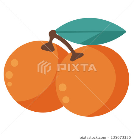 Lucky Orange Fruit Lantern Festival Symbol Vector Lucky Orange Fruit Lantern Festival Symbol Vector 135073330