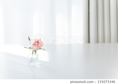 A single pink rose displayed on a white table (glass vase, natural light by the window, copy space, horizontal) 135073346