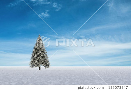 Fir tree in snowy landscape Fir tree in snowy landscape 135073547