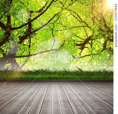 Wooden floor against forest Wooden floor against forest 135073684