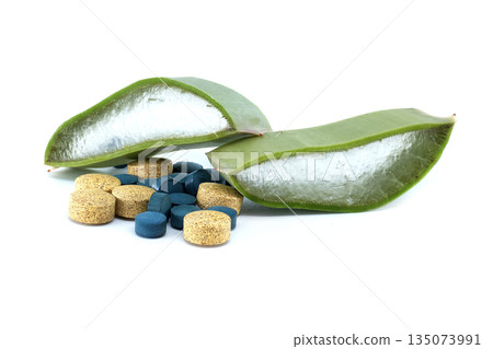 Aloe vera slices and assorted pills on a white background, representing natural remedies Aloe vera slices and assorted pills on a white background, representing natural remedies 135073991