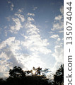 Spring Sky 135074044
