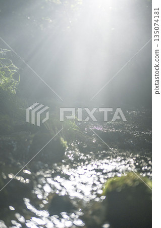 A scene of light shining on a clear stream in the forest - Oyamakiyazawa mountain stream 135074181