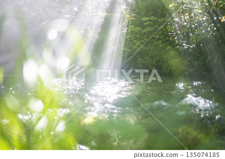 A scene of light shining on a clear stream in the forest - Oyamakiyazawa mountain stream 135074185