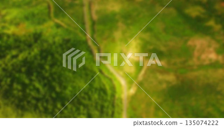 Panoramic view of green landscape 135074222