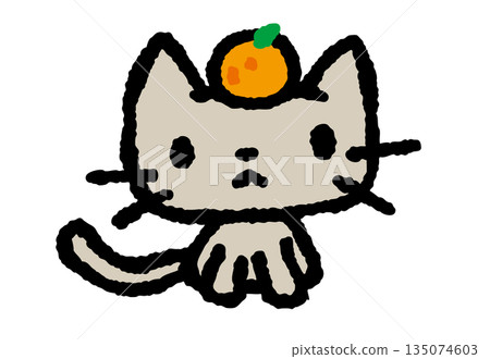 貓咪橘子 135074603