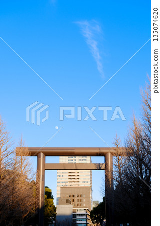 與鳥居的風景 135074620