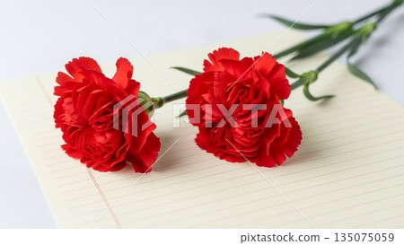 Mother's Day image of red carnations and ribbons on a pink background 135075059