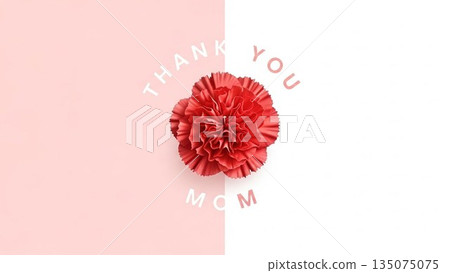 Mother's Day image of red carnations and ribbons on a pink background Mother's Day image of red carnations and ribbons on a pink background 135075075