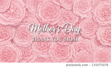 Mother's Day message background surrounded by carnations Mother's Day message background surrounded by carnations 135075076