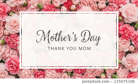 Mother's Day message background surrounded by carnations 135075106
