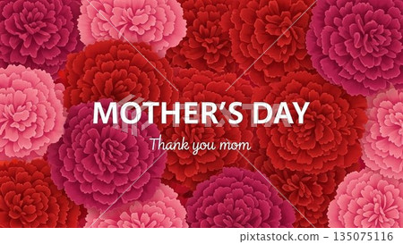 Mother's Day message background surrounded by carnations Mother's Day message background surrounded by carnations 135075116
