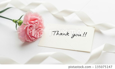 Mother's Day image of red carnations and ribbons on a pink background 135075147