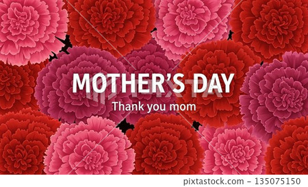 Mother's Day message background surrounded by carnations 135075150