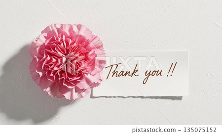Mother's Day image of red carnations and ribbons on a pink background 135075152